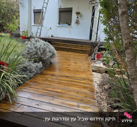 שביל עץ בגינה ליד בית עם סולם וצמחים